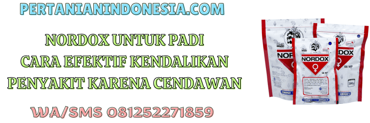 nordox,nordox 56 wp,pestisida,fungisida,pertanian indonesia